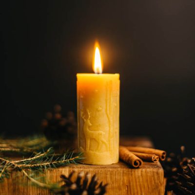 Bišu vasks svece Briedis