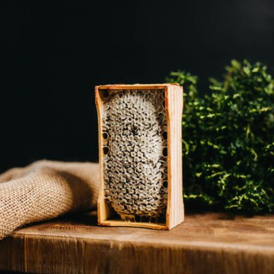 Šūnu medus rāmītī