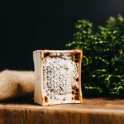 Šūnu medus rāmītī