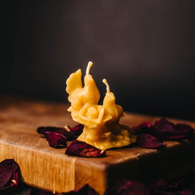 Vaska svece Divi balodīši