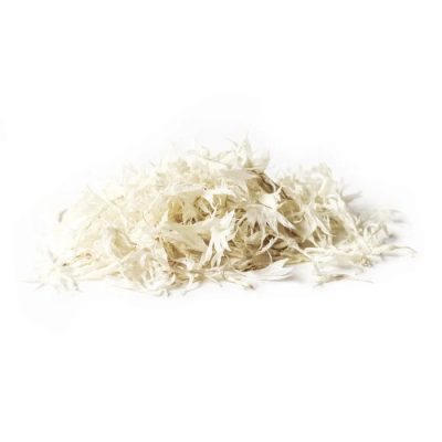 baltas rudzupuķu ziedlapiņas